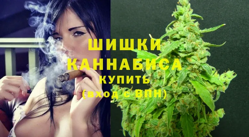 mega ONION  Кировск  Каннабис Amnesia 